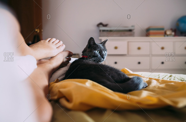 Cat lying on bed besides feet of owner