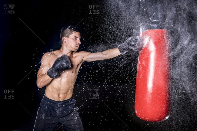 everlast portable punching bag