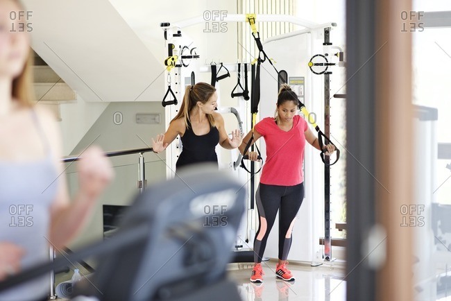 Women doing workout with straps
