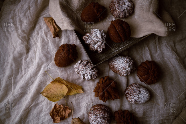 Cakes in assorted autumn shapes arranged on cloth with fall leaves