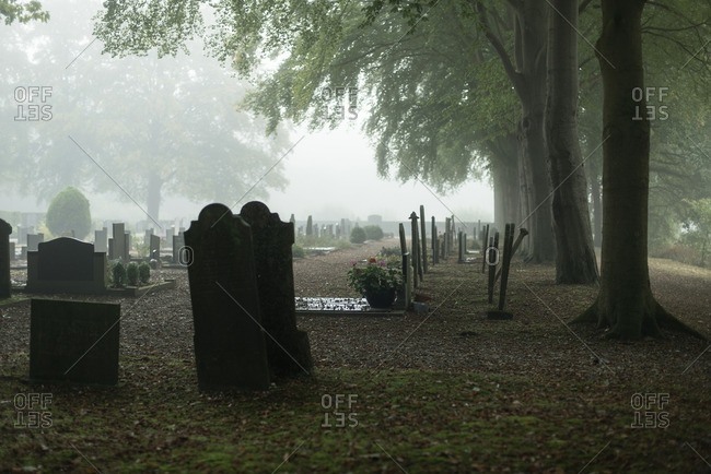 Cemetery with trees in mist in autumn in The Netherlands
