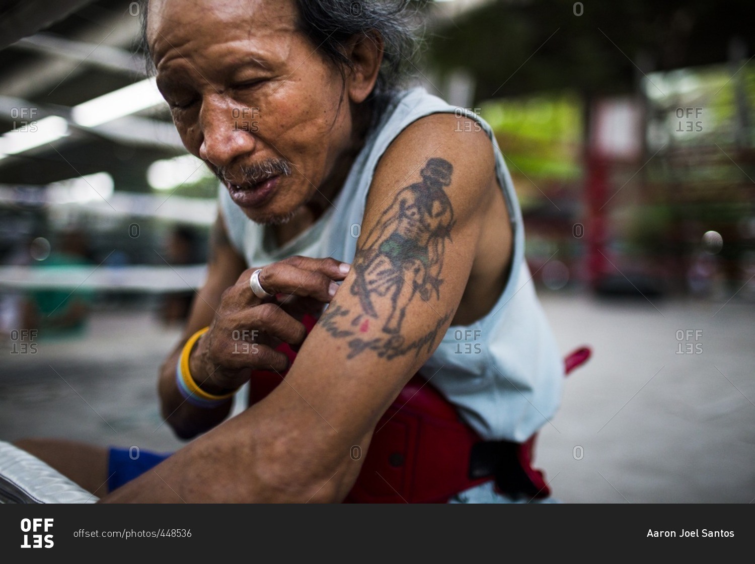 What is the meaning of the Thai tiger tattoo  Quora