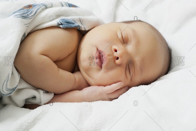 Sleeping baby boy - Offset Collection