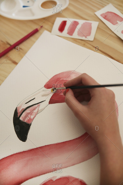 Woman's hand painting aquarelle of a flamingo on desk in her studio