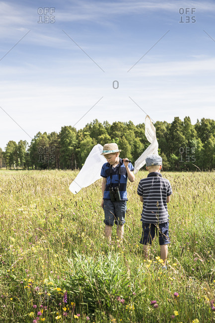 Sweden, Gotland, Boys with butterfly nets in meadow with forest on horizon