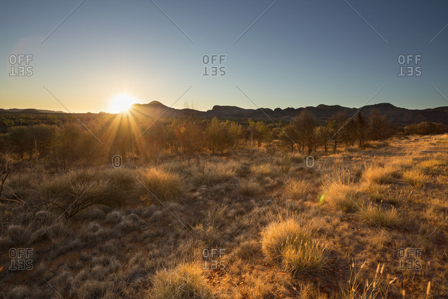 Australia, Northern Territory, Alice Springs, Field at sunset