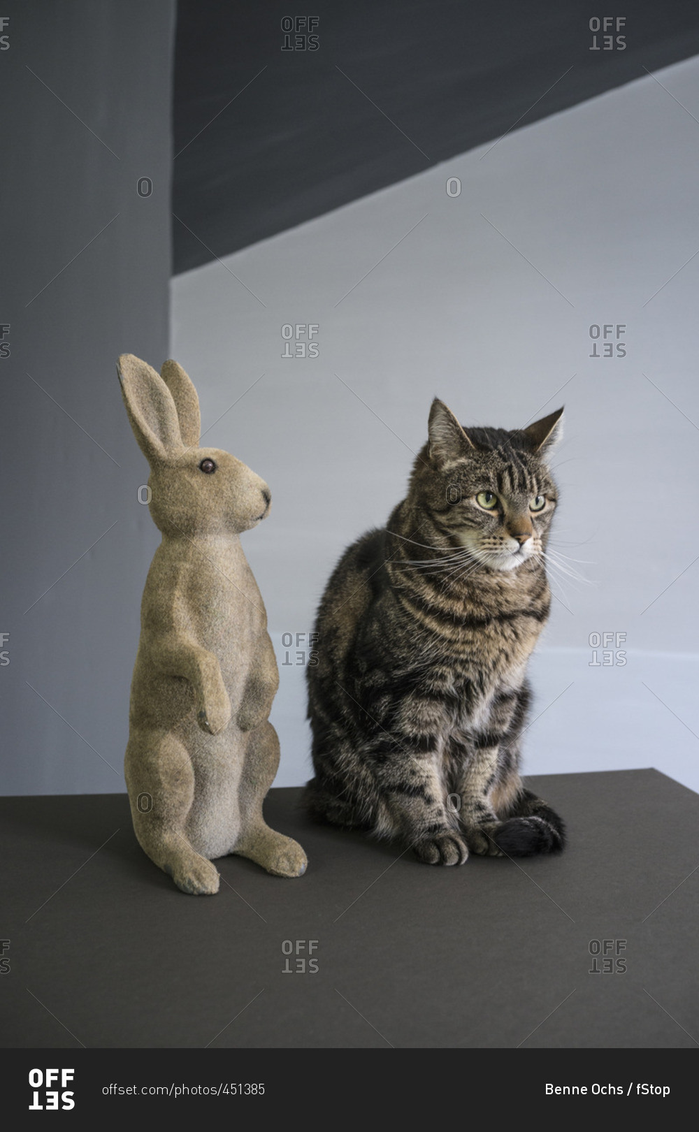 Tabby cat sitting by rabbit figurine on floor against wall