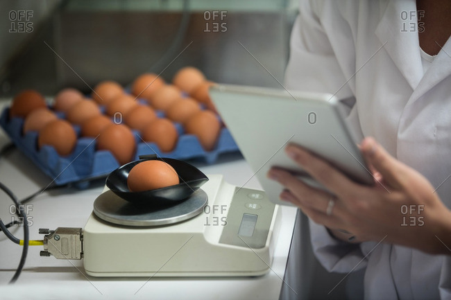 Mid section of female staff using digital tablet while examine egg on digital egg monitor