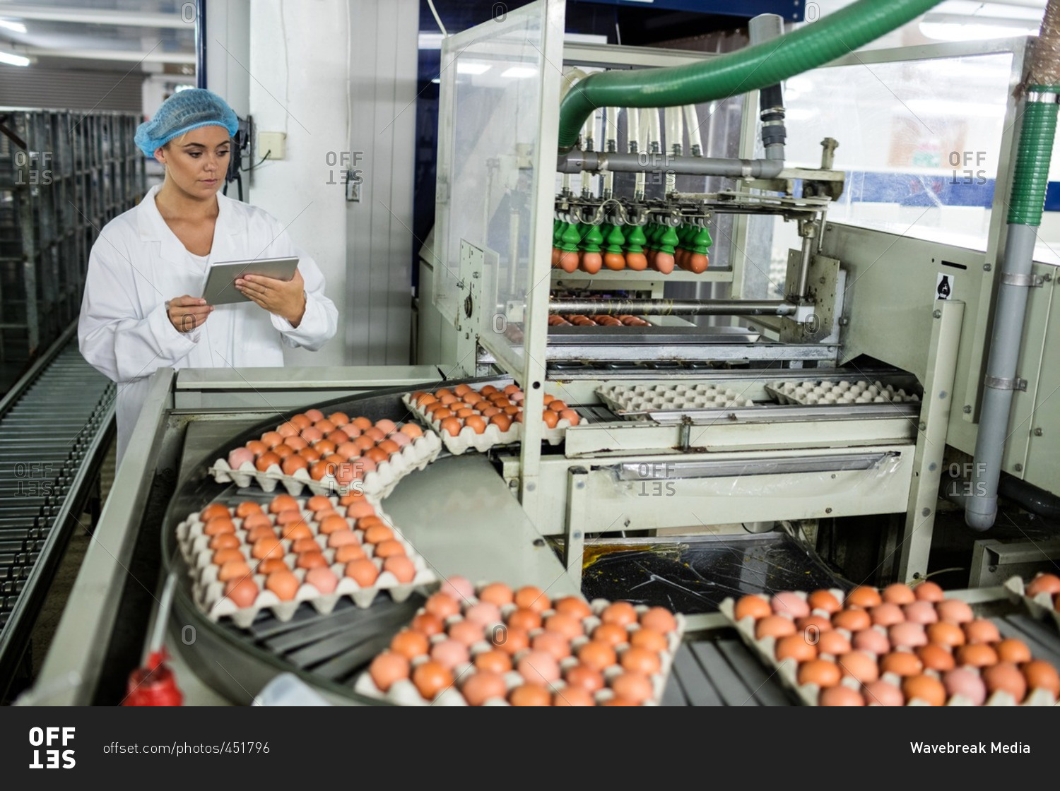 Female using digital tablet while examining eggs on conveyor belt in factory