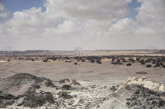 Desert valley with some trees, dunes and mountains