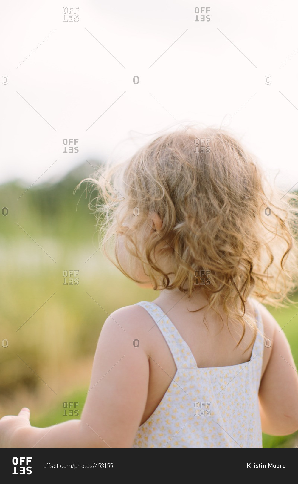 Back view of toddler girl with curly blonde hair stock photo - OFFSET