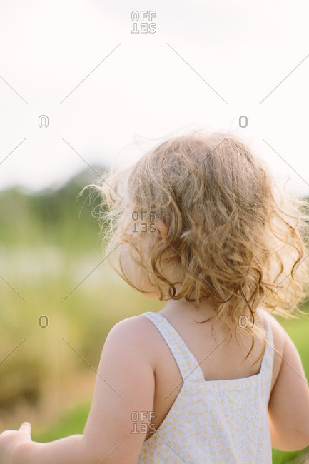 Back View Of Toddler Girl With Curly Blonde Hair Stock Photo Offset