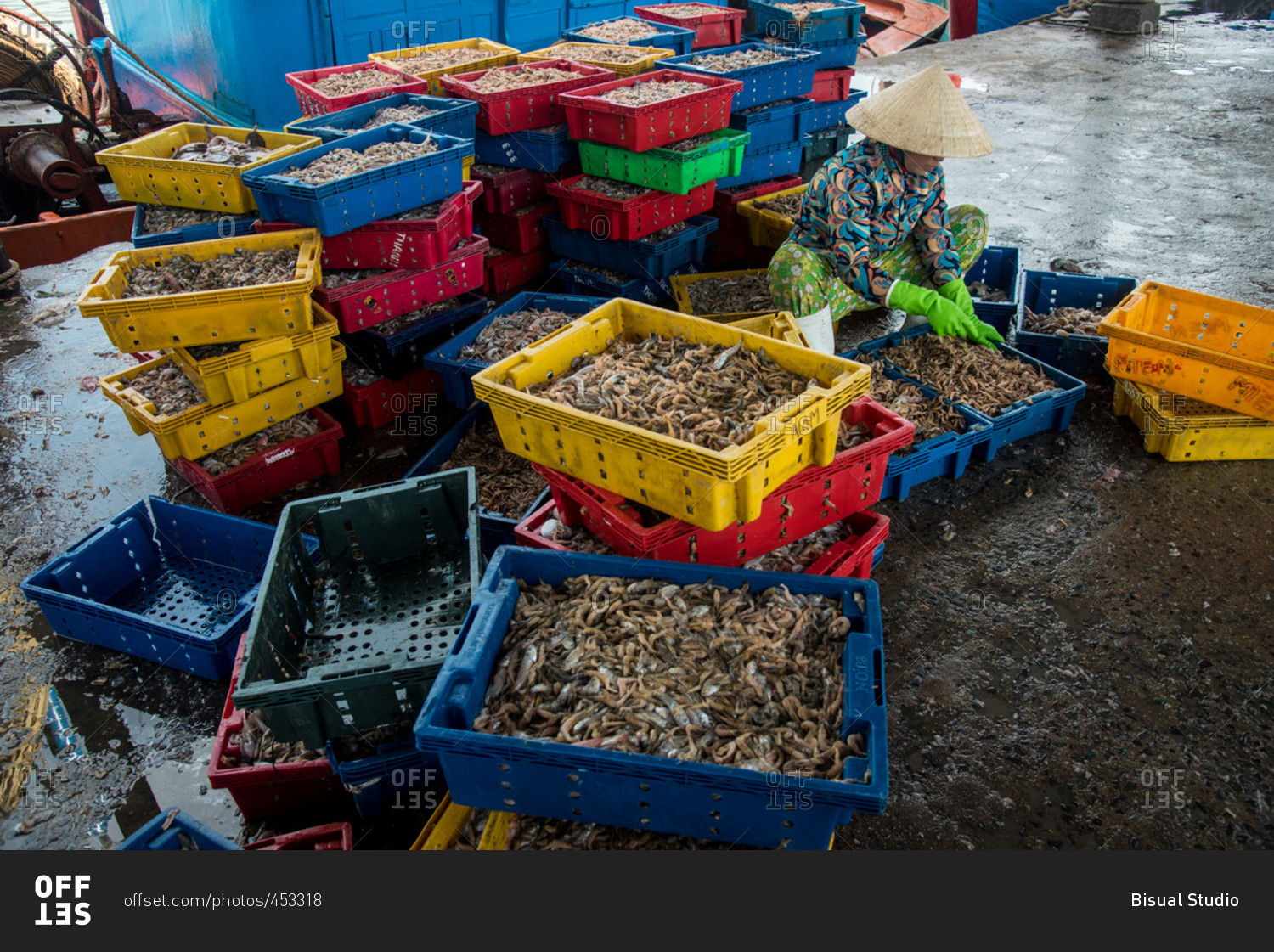 Workers sorting seafood market in Nha Trang, Vietnam stock photo OFFSET