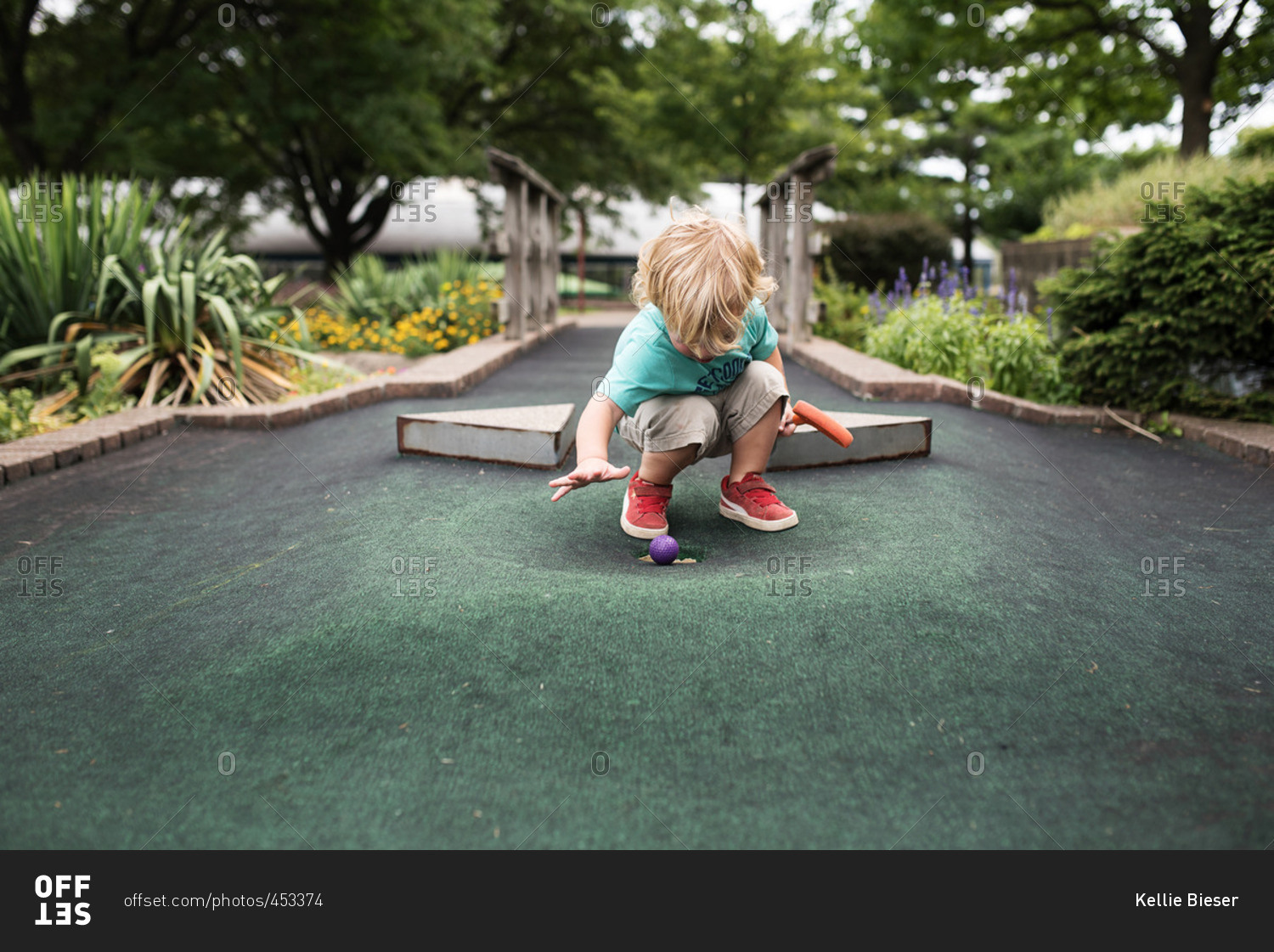 Toddler boy watching ball approach the hole on a miniature golf course