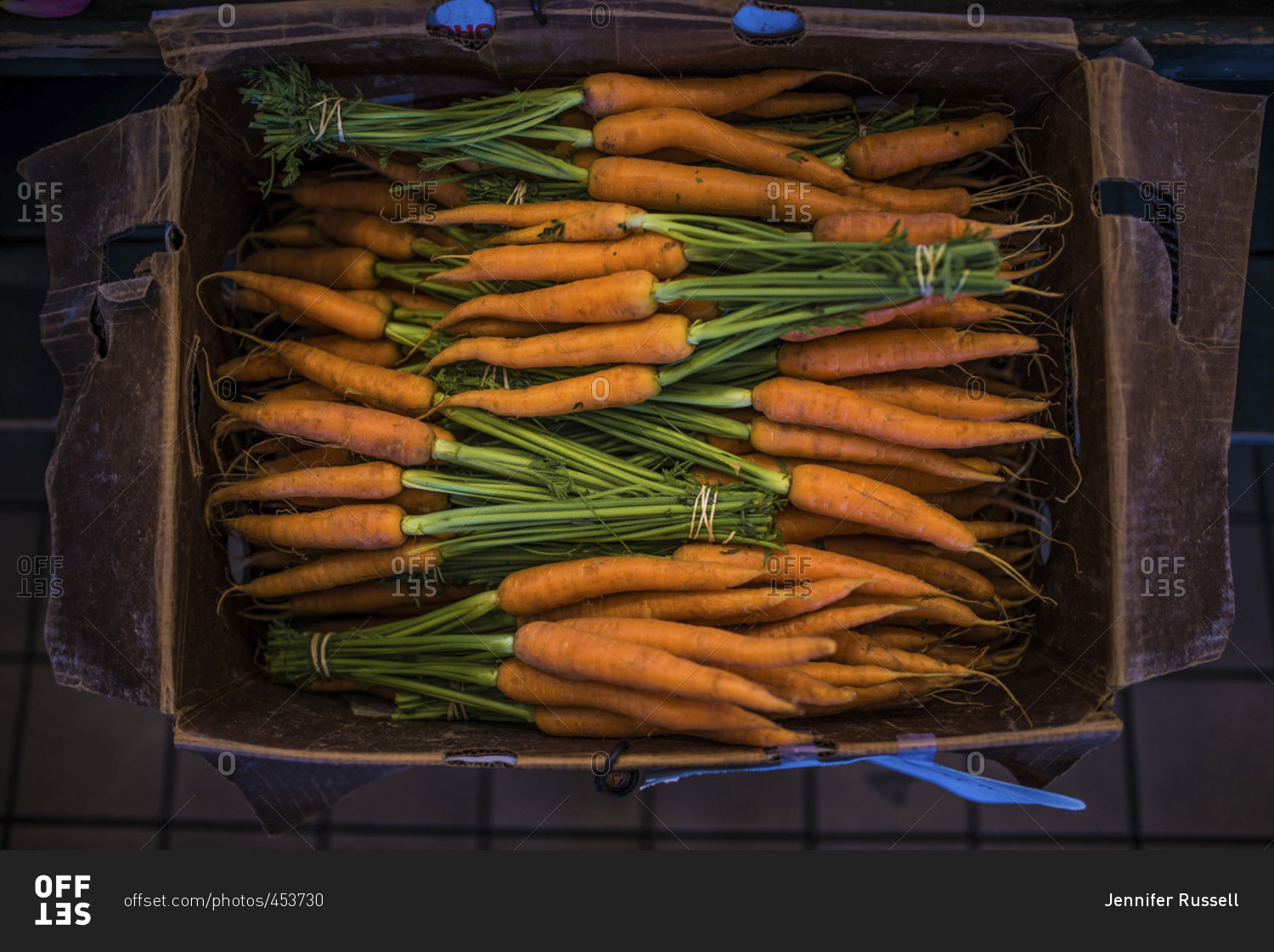 Download Overhead View Of Carrots In A Cardboard Box Stock Photo Offset PSD Mockup Templates