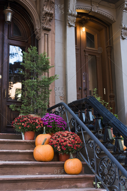 Pumpkins and mums on front steps to a building