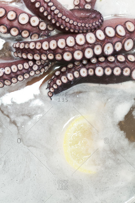 Close up of an octopus soup