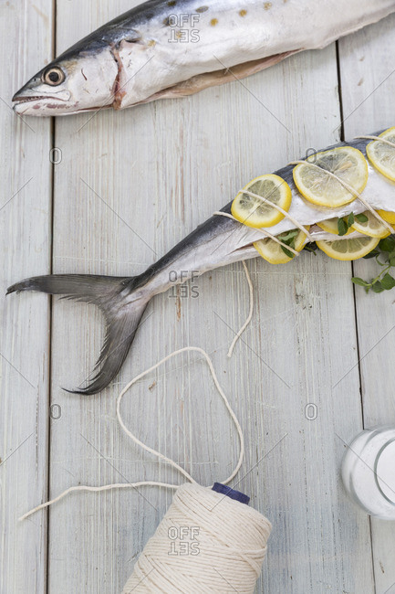 Raw fish with lemon slices tied with a twine