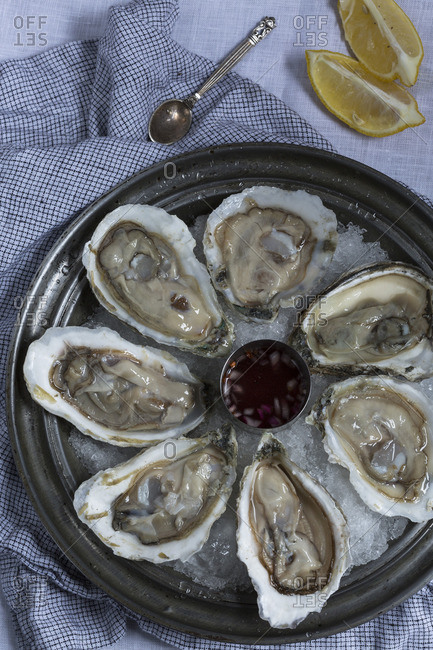 Oysters served on a platter