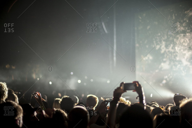 Audience members in a crowd at a music festival