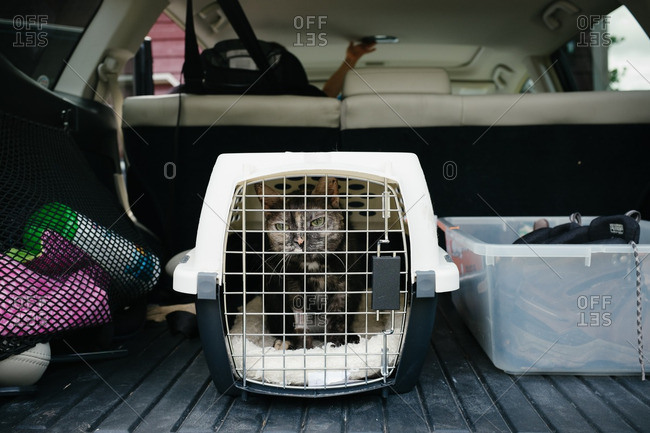 cat cage for car