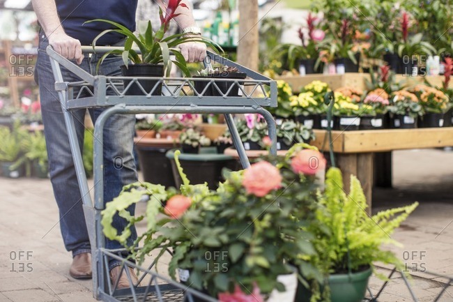 Man pushing a trolley full of plants in garden centre