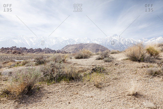 USA- California- steppe with snow-covered mountain in the background