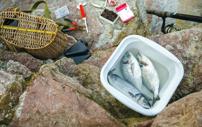 Bucket with caught fish and fishing equipment on rock