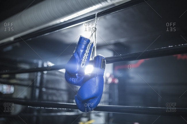 boxing gloves ring