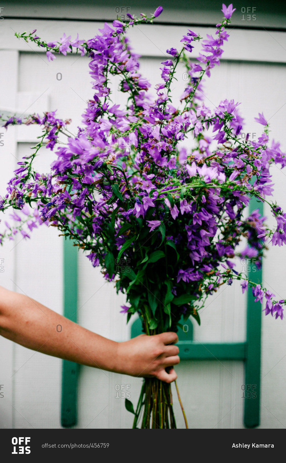 Hand of a girl holding an arrangement of purple flowers