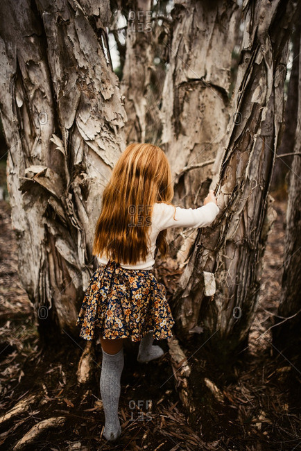 Little redhead girl climbing up a tree in the woods