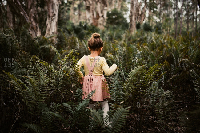 Little girl walking through fern plants in the woods