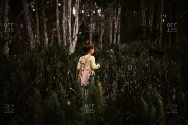 Little girl walking through a fern filled forest