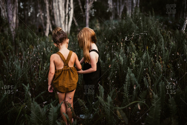 Two little girls playing together in a field of ferns