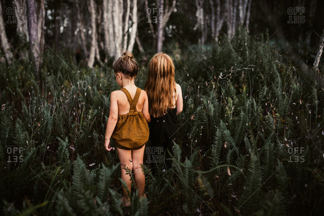 Two little girls standing in a field of ferns