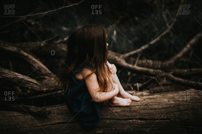Little girl sitting on a fallen tree
