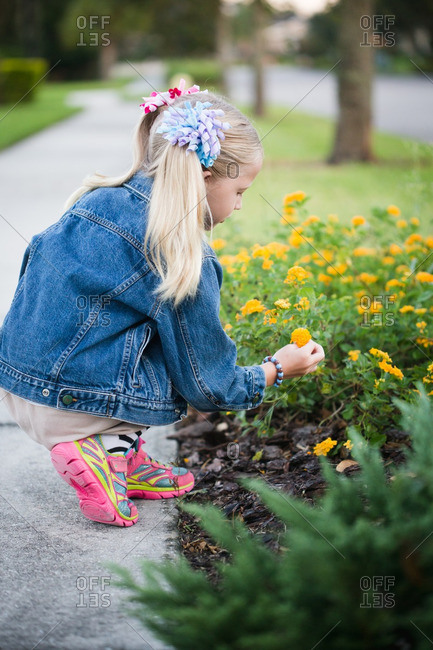 Little girl picking flowers - Offset
