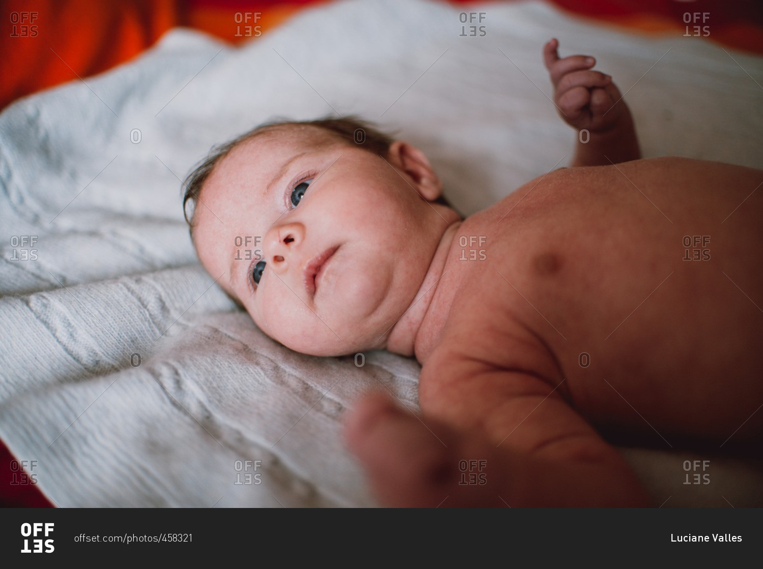 baby-in-lying-on-a-bed-stock-photo-offset