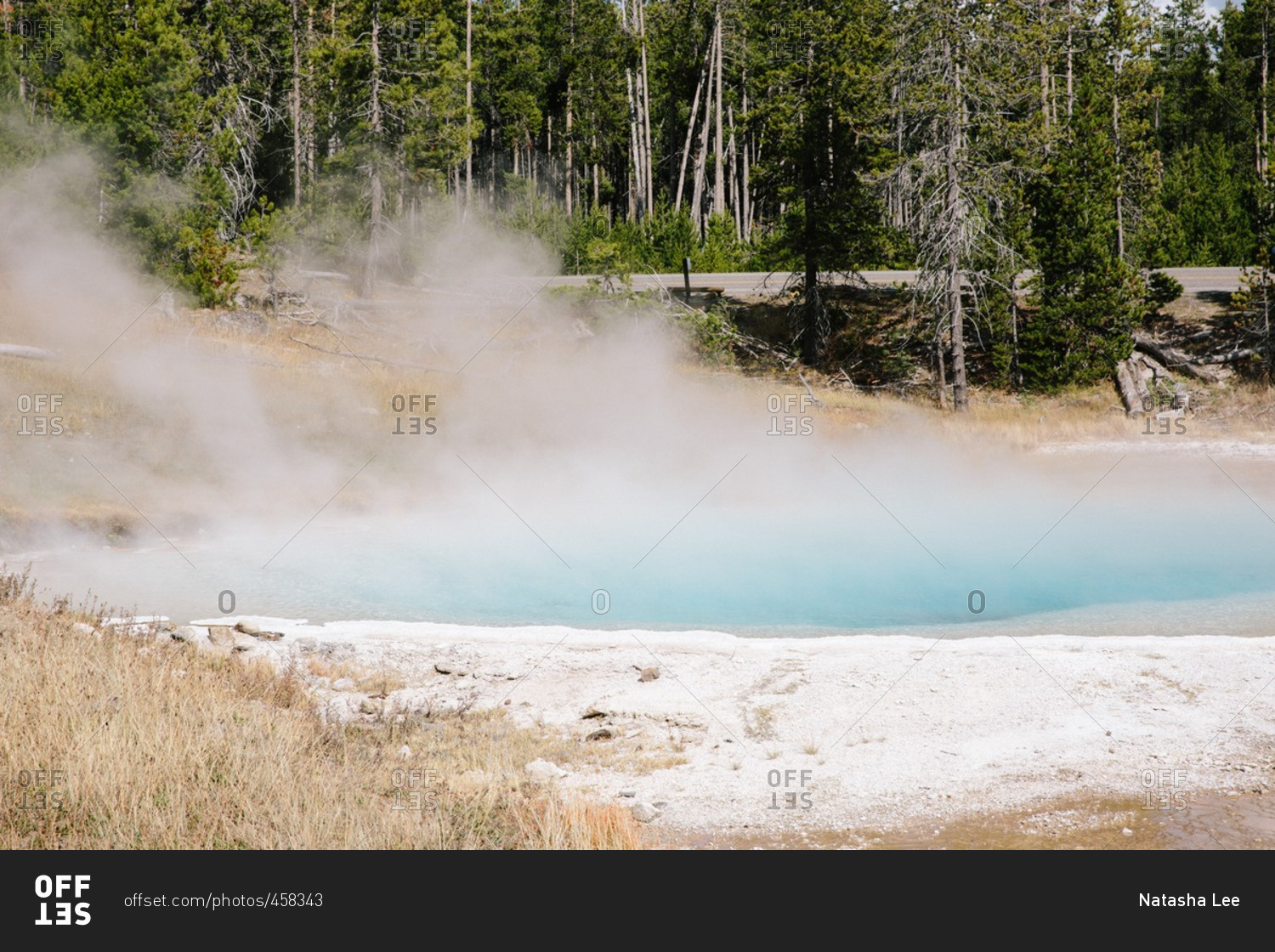 Steam from hot spring, Yellowstone National Park