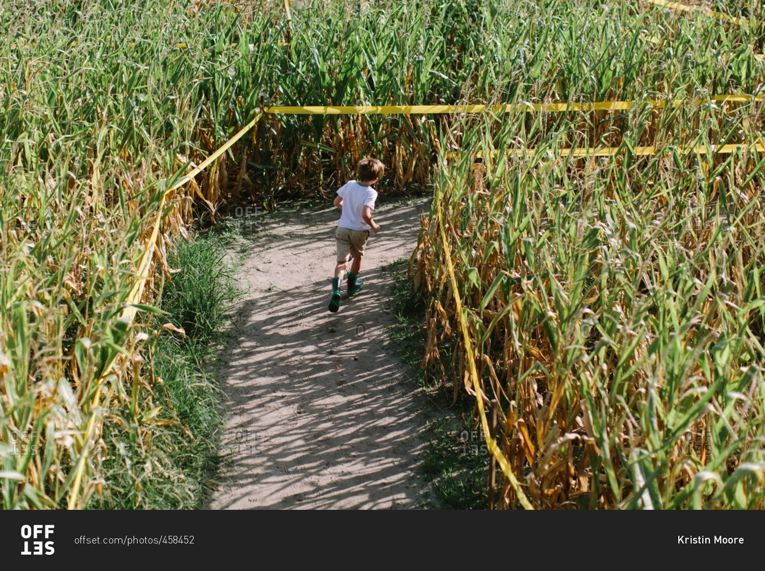 Bird\'s eye view of a boy running through corn maze