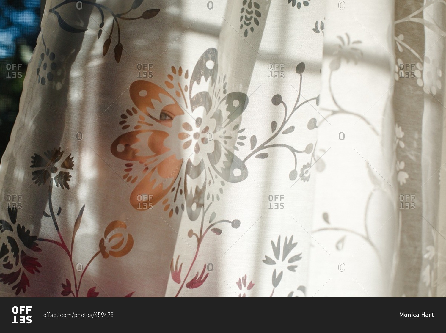 Little girl standing behind lace curtains stock photo - OFFSET
