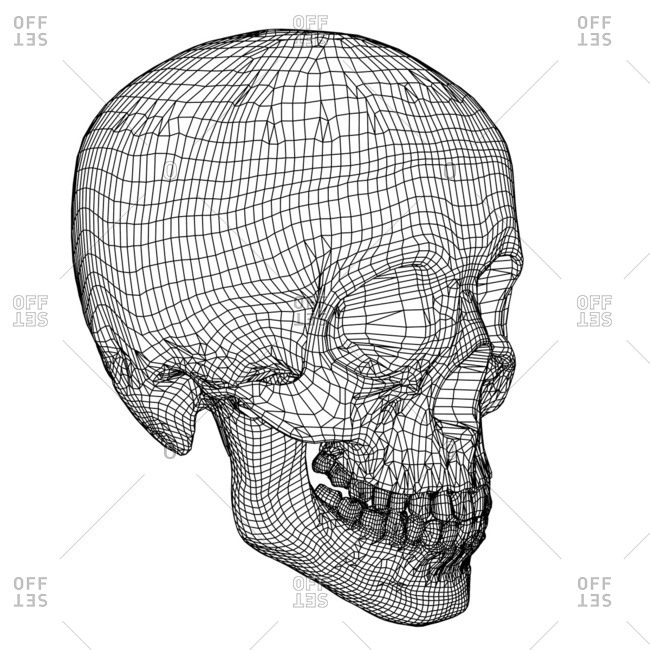 Skull Computer artwork of a wireframe view of a human skull stock photo