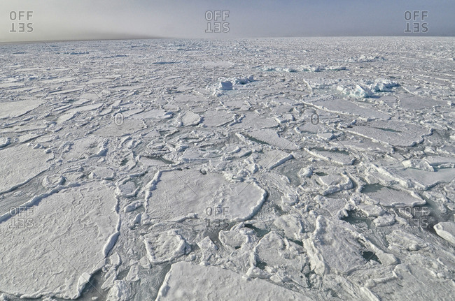Ice edge off the Svalbard Archipelago.