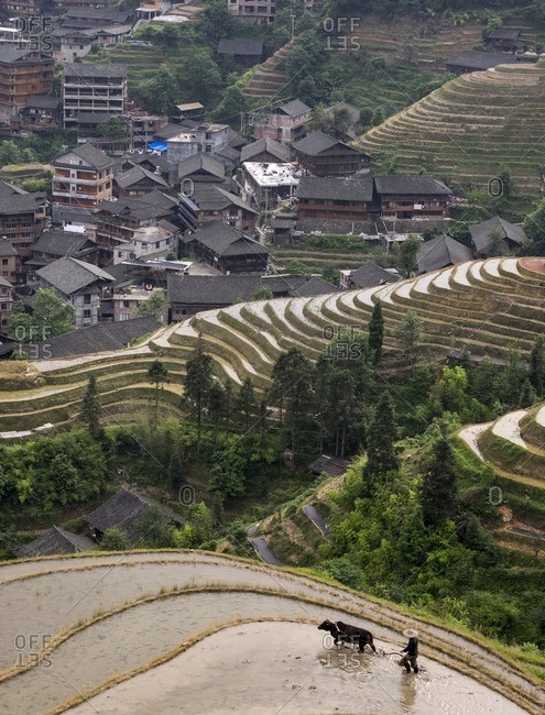 Terraced rice fields in Ping\'an village in Guangxi Province\'s Longsheng County.