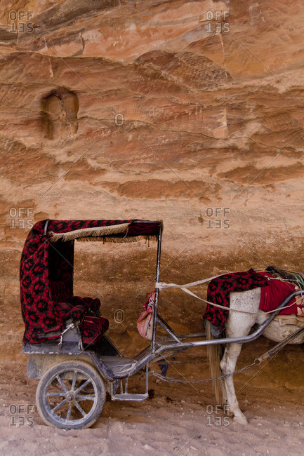 Horse drawn carriage in Petra, Jordan
