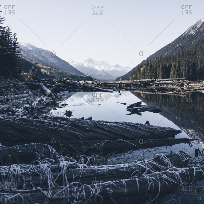 Logs along the shore of a lake with distant mountain range reflected in the water