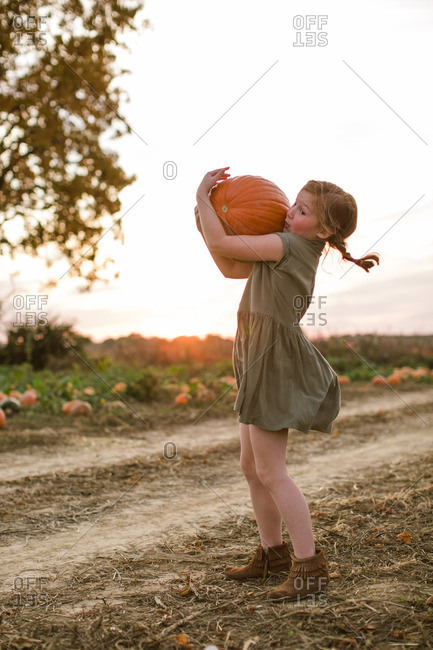 Girl struggling to carry a heavy pumpkin at the pumpkin patch