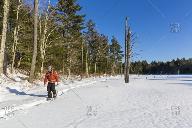 A Man Snowshoeing Across A Frozen Beaver Pond