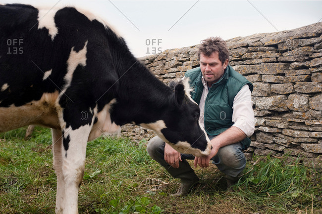 Farmer With Cow
