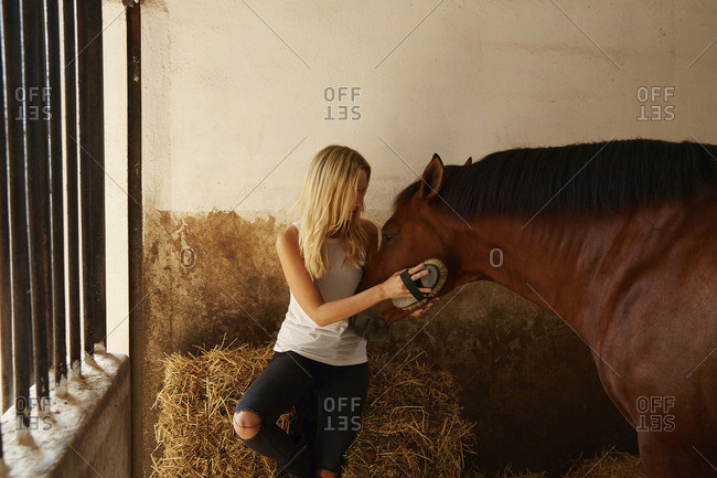 Woman brushing brown horse in stable